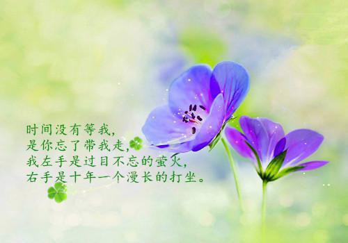 佚名写的小说叶妤顾秦时阅读