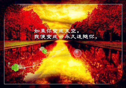 重生到龙族选兽妃这天免费阅读（萧璟锦婉萧墨）全文免费阅读无弹窗大结局_重生到龙族选兽妃这天免费阅读最新章节列表（萧璟锦婉萧墨）