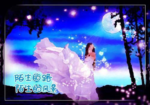 陈子阳柳如烟小说 陈子阳柳如烟免费全文阅读