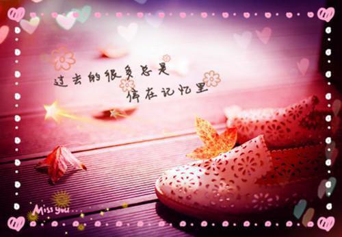 施念骆琛全文免费（骆琛施念）完整全文在线阅读_施念骆琛全文免费免费阅读全章节目录（骆琛施念）
