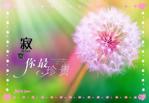 小学生写关于教师节诗歌