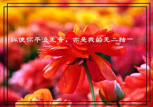 独家小说《李龙鳞苏凤翎》九皇子：开局推到女皇妃全文免费阅读无弹窗_李龙鳞苏凤翎番外最新小说（九皇子：开局推到女皇妃）