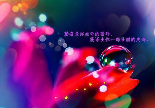 林苑江阳朔的小说（江阳朔林苑）全文免费阅读无弹窗大结局_(江阳朔林苑)林苑江阳朔的小说最新章节列表（林苑江阳朔的小说）