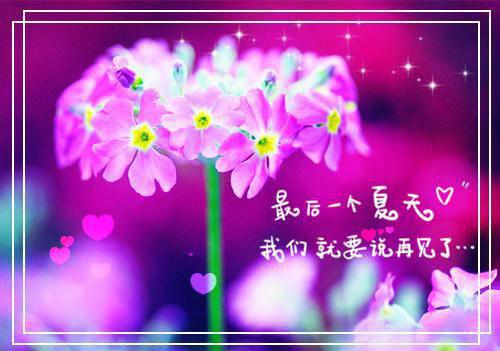 青春伤感句子摘抄大全
