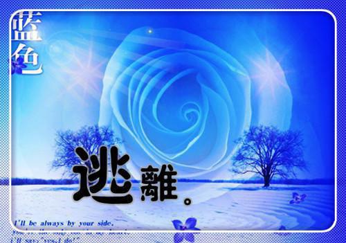 《萧青璇张彪小说》无弹窗全文免费阅读
