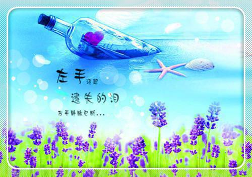 与君长宁（赵长乐）精选小说大结局阅读-抖音新书热荐与君长宁