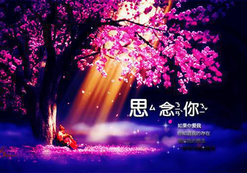 喜当妈后我离婚了全文阅读（赵尧姚姚）最新章节_喜当妈后我离婚了全文阅读