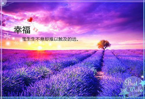 尚凌枕安一宁小说（尚凌枕安一宁）全文免费阅读无弹窗大结局_(尚凌枕安一宁小说)尚凌枕安一宁小说最新章节列表（尚凌枕安一宁）