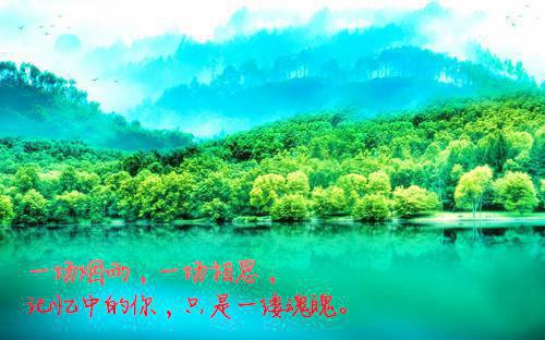 苏浅浅秦原青全文阅读 苏浅浅秦原青小说最新章节