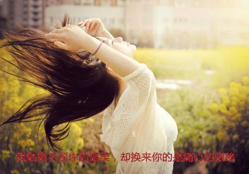司近秦慕雪（秦慕雪司近小说）全文免费阅读无弹窗大结局_(秦慕雪司近小说全文免费阅读大结局)最新章节列表（司近秦慕雪）