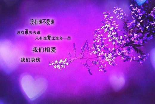 浪不动了（唐瑜）小说全文免费阅读_浪不动了最新章节列表（唐瑜）
