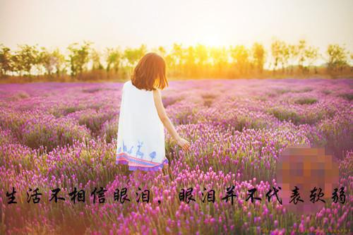 苏婉如陆瑾琛(陆瑾琛苏婉如)全文免费阅读无弹窗大结局_(苏婉如陆瑾琛免费阅读)陆瑾琛苏婉如无弹窗最新章节列表（苏婉如陆瑾琛）