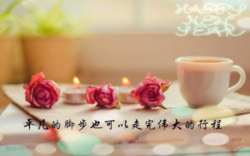 唐郁顾星帆（唐郁顾星帆全文）全文免费阅读无弹窗大结局_唐郁顾星帆列表（唐郁顾星帆全文）