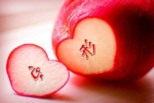 综艺爆火，全网认她当闺女免费阅读（苏点点闵嘉然）全文免费阅读无弹窗大结局_综艺爆火，全网认她当闺女免费阅读最新章节列表（苏点点闵嘉然）