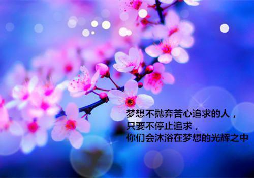 失忆后我拒做舔狗，老婆求我别离婚（陈乾苏雪）全文免费阅读无弹窗大结局_失忆后我拒做舔狗，老婆求我别离婚最新章节列表（陈乾苏雪）