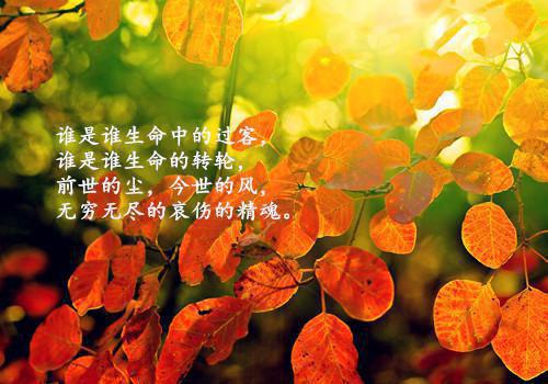 顾思思顾惜全文免费阅读(声声难藏小说)全文免费顾思思顾惜读无弹窗大结局_ 声声难藏小说顾思思顾惜全文免费顾思思顾惜读最新章节列表（声声难藏小说）