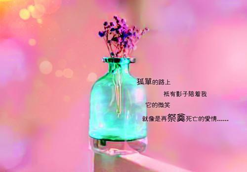 陆汀兰萧野无弹窗 天幕审判，恨我入骨的人全疯了：全文+后续+番外陆汀兰萧野全文免费阅读