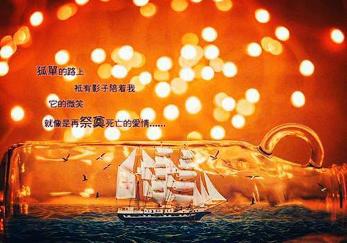 情人节的背叛小说向卉陈维平无弹窗阅读