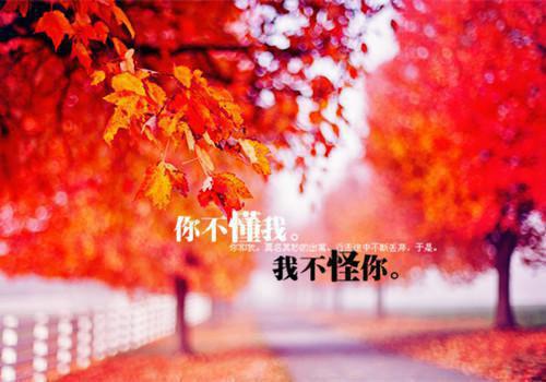 公司元旦贺词致辞