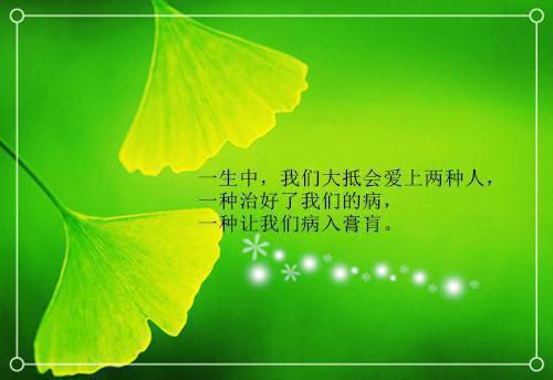 江枔絮裴司屿（江枔絮裴司屿免费阅读）全文免费阅读无弹窗大结局_（江枔絮裴司屿免费阅读）江枔絮裴司屿免费无弹窗最新章节列表（江枔絮裴司屿免费阅读）