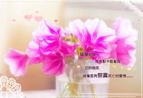 陶婉婉苏晋是啥小说 陶婉婉苏晋免费阅读无广告