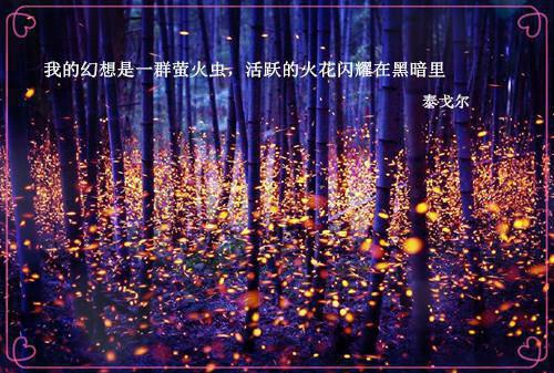 路依依苏聿风小说热辣必读宝藏言情文推荐（路依依苏聿风）全文免费阅读无弹窗大结局_(路依依苏聿风小说)最新章节列表（路依依苏聿风）