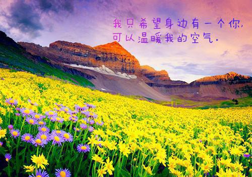 幼儿园小班老师的教育随笔