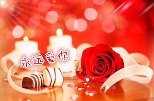 徐盈秋薛述楷完结（薛述楷徐盈秋）全文免费阅读无弹窗大结局_徐盈秋薛述楷完结最新章节列表（薛述楷徐盈秋）