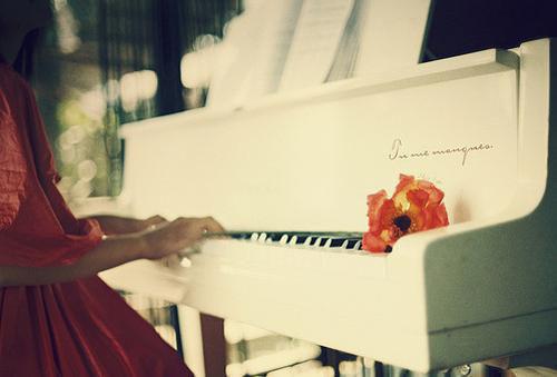 叶尘小说叫什么名字 叶尘全文免费阅读