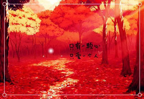 陆远洲沈竹心小说无删减 我爱的，是你的心脏在线看