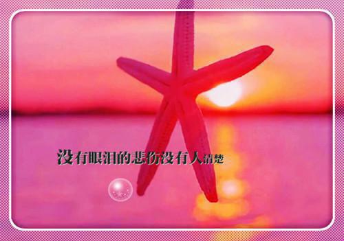 长渊苏心璃（苏心璃长渊）全文免费阅读无弹窗大结局_（长渊苏心璃）苏心璃长渊最新章节列表（苏心璃长渊）