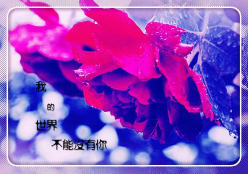 池清栩付时温（付时温池清栩）全文免费阅读无弹窗大结局_池清栩付时温最新章节列表（付时温池清栩）