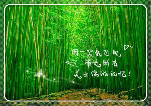 我的女主我来护小说在线阅读无弹窗 阮鸢祁琛季晚晚章节目录