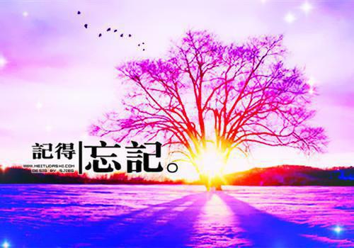 云峥苏雪衣(苏雪衣云峥)全文免费阅读无弹窗大结局_云峥苏雪衣小说免费阅读最新章节列表（苏雪衣云峥）