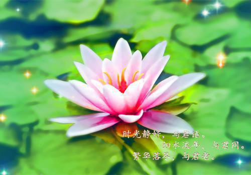 方平安方宏浚小说主角全文/全集/电子书/大结局（方平安方宏浚小说主角）回归豪门后，我被亲生父母虐待了阅读 耽美微回归豪门后，我被亲生父母虐待了