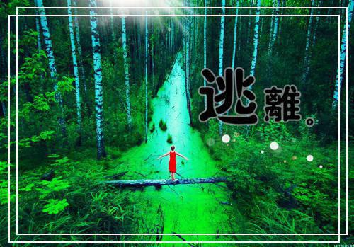 男友出轨后我攀上了霸总全文免费阅读 温觅季白楚然目录