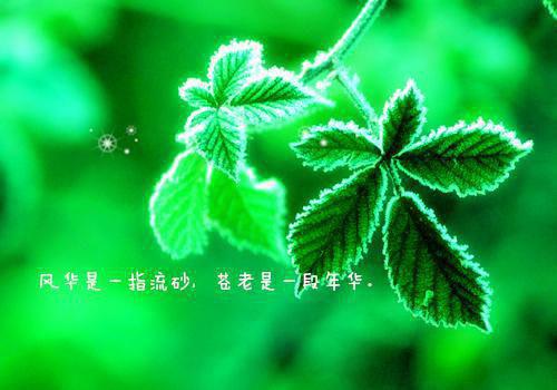 被渣后我收割了竹马的禁欲小叔书荒宝藏热文分享（季瓷顾城安）全文免费阅读无弹窗大结局_被渣后我收割了竹马的禁欲小叔最新章节列表（季瓷顾城安）