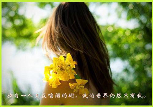 有关情人节最浪漫的回忆散文