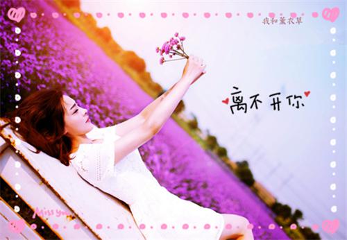诱哄入怀！首席大人占有欲超强（卡洛斯纪雅念）全文免费阅读无弹窗大结局_诱哄入怀！首席大人占有欲超强免费阅读最新章节列表（卡洛斯纪雅念）