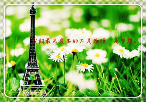 苏清岚霍翼然小说-苏清岚霍翼然全文免费阅读