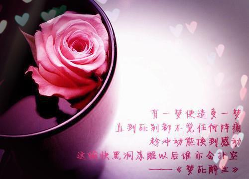 苏晗鸢玄烨全文（玄烨苏晗鸢）完结阅读无弹窗大结局_苏晗鸢玄烨全文最新章节列表（玄烨苏晗鸢）
