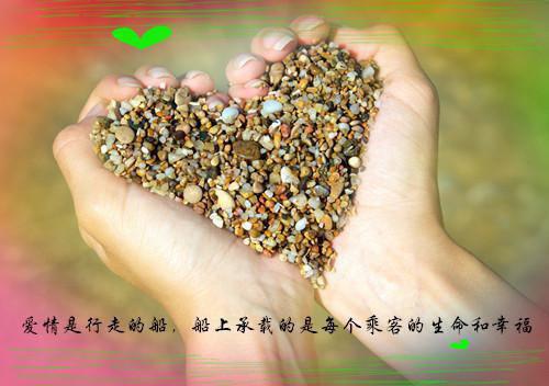 钱司辰许佳佳全文免费阅读（把他还给白月光小说）全文免费钱司辰许佳佳读无弹窗大结局_（钱司辰许佳佳全文免费钱司辰许佳佳读无弹窗）把他还给白月光小说最新章节列表（钱司辰许佳佳）