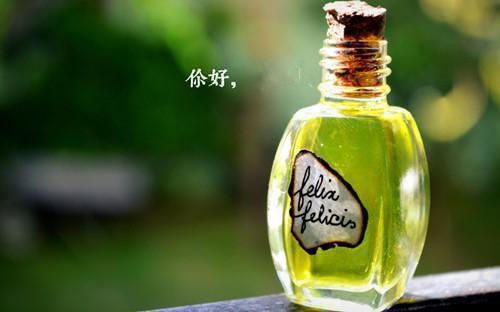 沈月盈裴寒舟全集（沈月盈裴寒舟）全集免费阅读无弹窗_沈月盈裴寒舟全集最新章节列表（沈月盈裴寒舟）