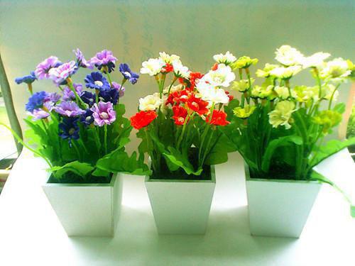 重生八零神医小俏媳宠全集小说_乔汐陆战霆完结版阅读