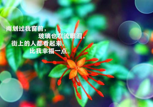 别笑我高考零分作文_别笑我是高考零分作文