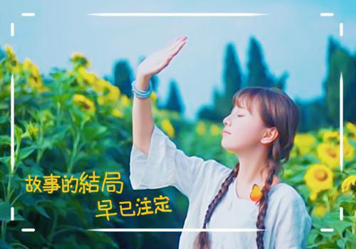 江苡禾裴司砚免费阅读（裴司砚江苡禾）全文免费阅读无弹窗大结局_江苡禾裴司砚免费阅读最新章节列表（裴司砚江苡禾）