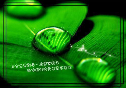 清明节专题广播稿