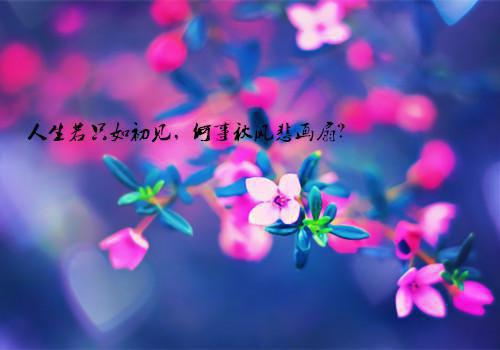 江嘉倪陆弃小说（江嘉倪陆弃）全文免费阅读无弹窗大结局_（江嘉倪陆弃）江嘉倪陆弃小说免费阅读无弹窗最新章节列表（江嘉倪陆弃小说）
