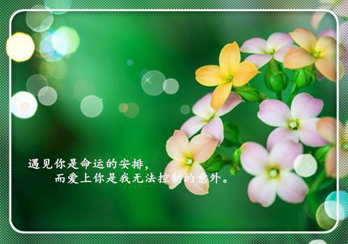余生不再为你难过宋若初顾南浔小说全文免费阅读