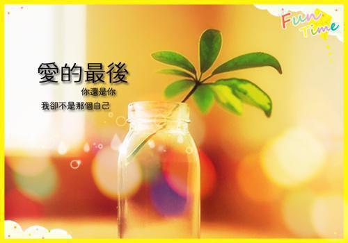 沈知星段渠下载已完结（沈知星段渠：这世间,从此以后只剩我一人）全文小说免费阅读_沈知星段渠全章节小说目录阅读（沈知星段渠：这世间,从此以后只剩我一人）